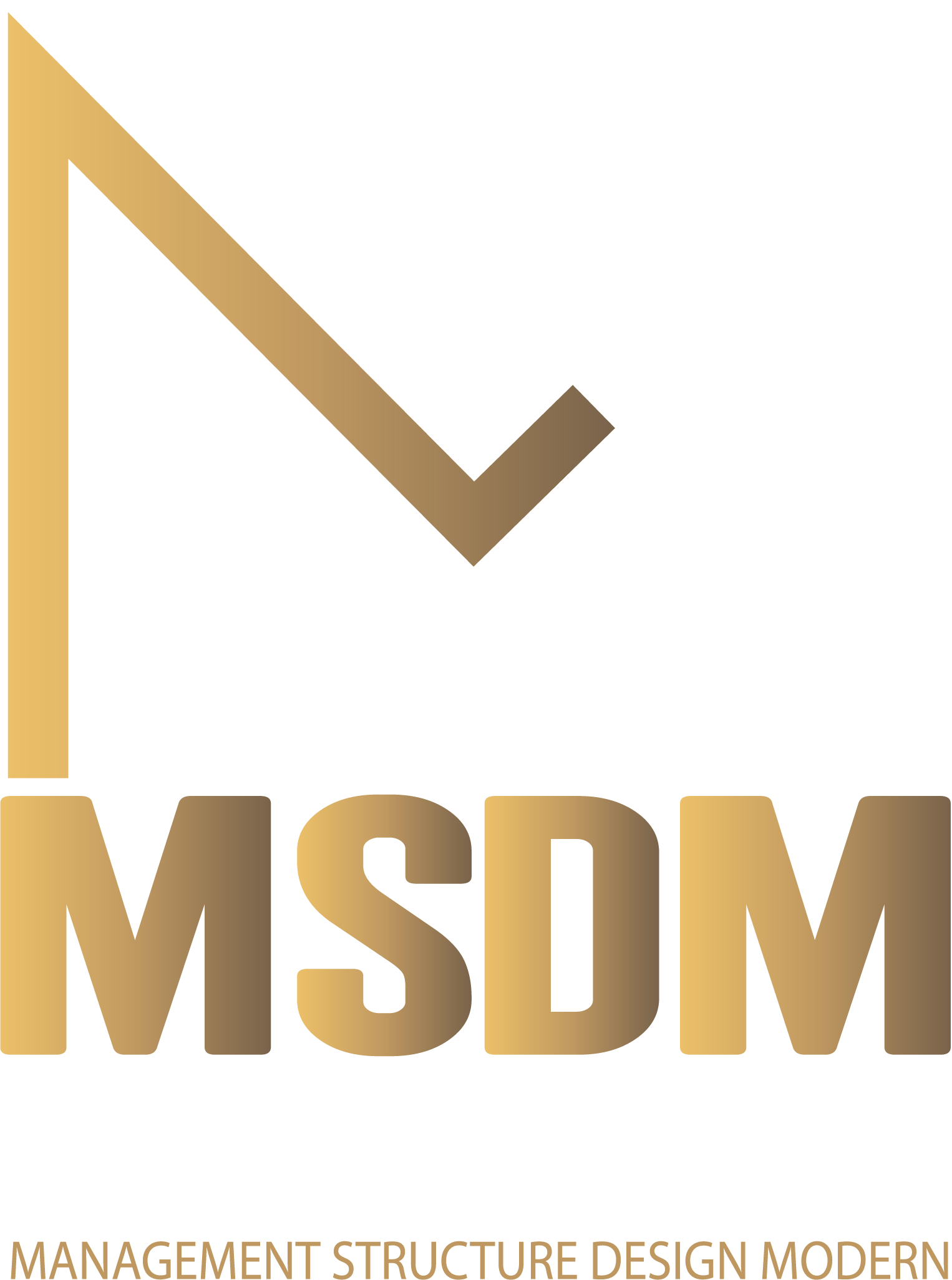 MSDM 2